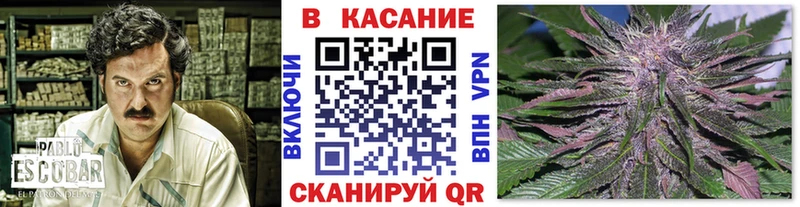  КОКАИН Сольвычегодск