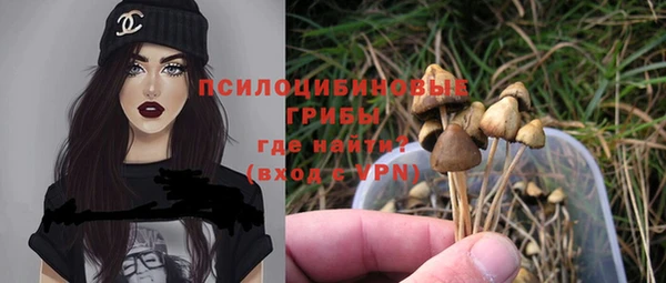 трава Абаза