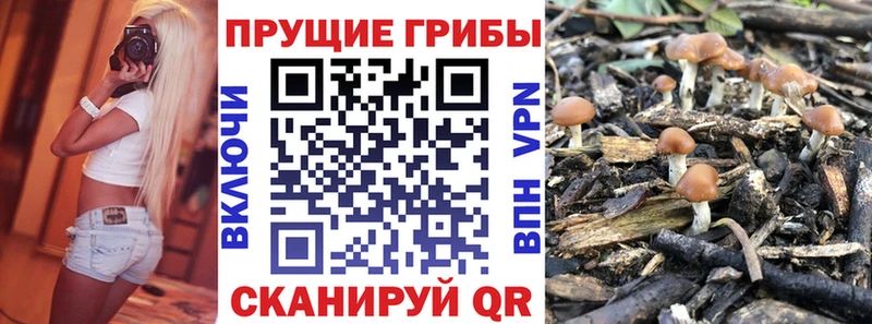 MEGA вход  Сольвычегодск  Галлюциногенные грибы Cubensis 